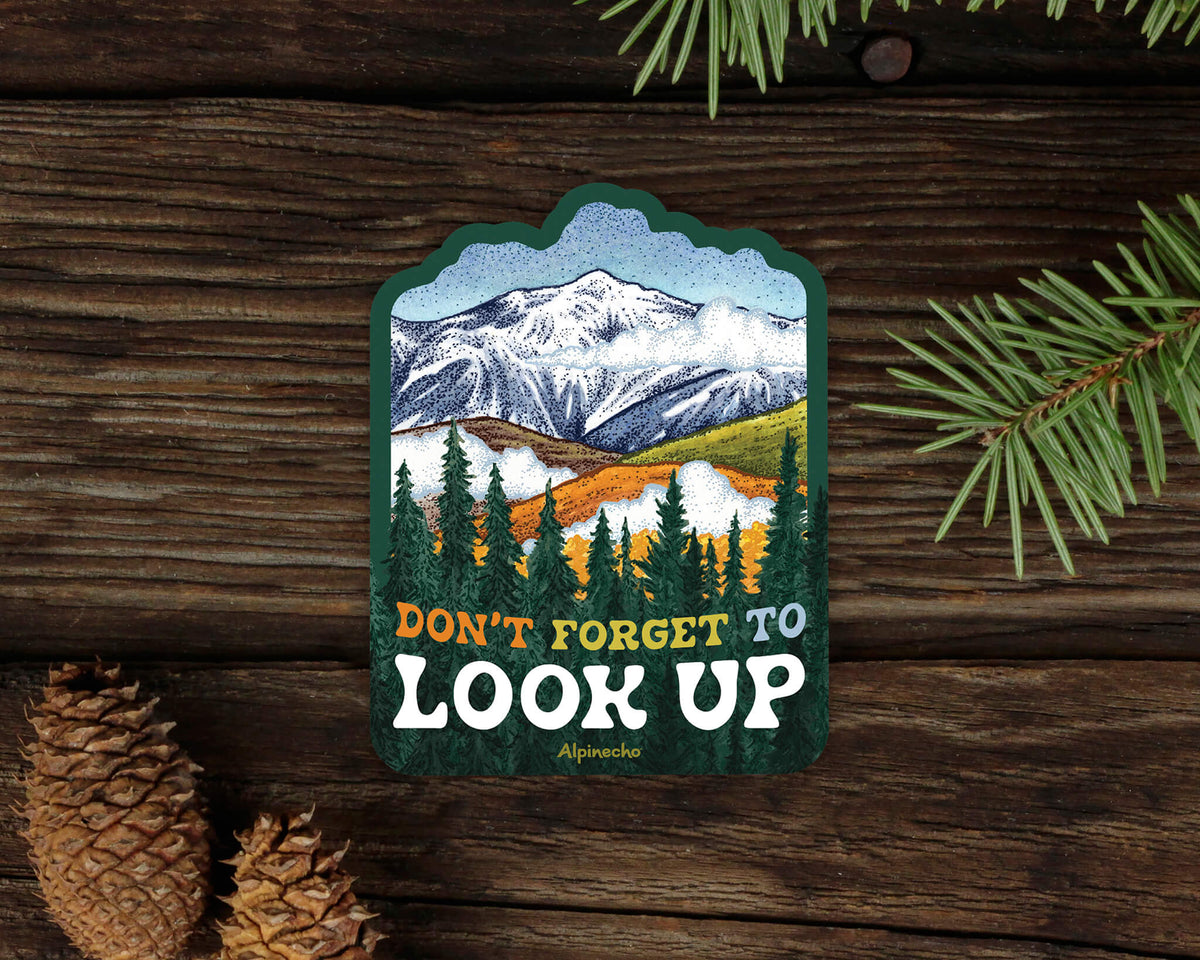 ST216_Don_t_Forget_To_Look_Up_