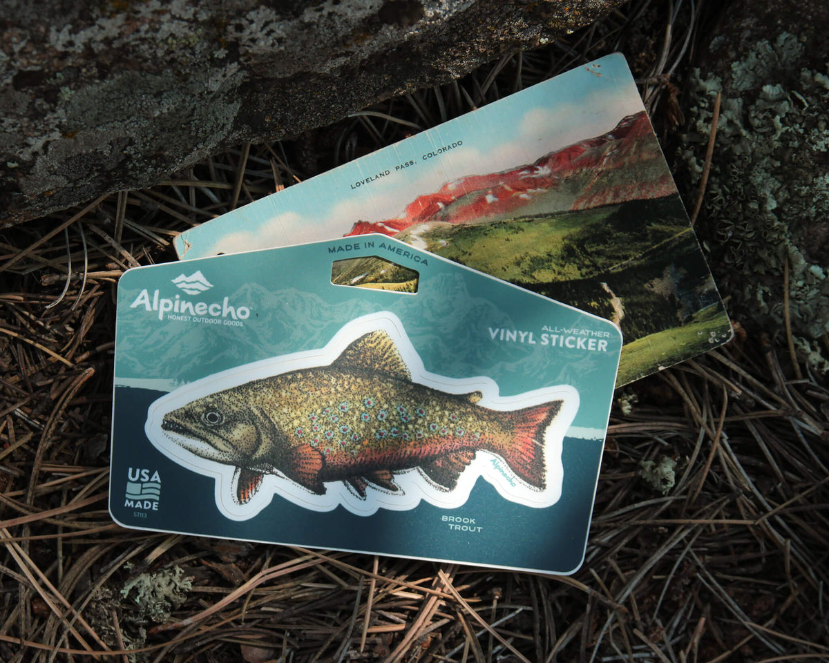Brook Trout Sticker – Alpinecho